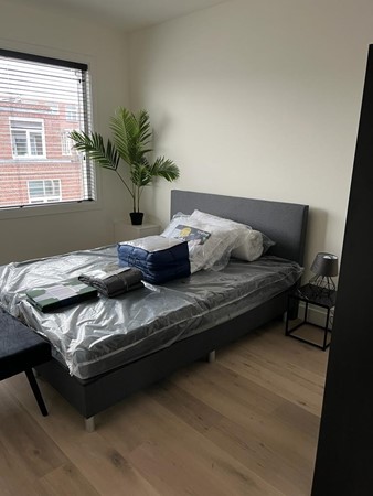 Medium property photo - Hendrik Zwaardecroonstraat, 2593 XW The Hague